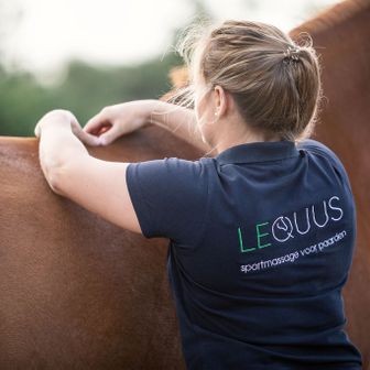 LEQUUS sportmassage voor paarden