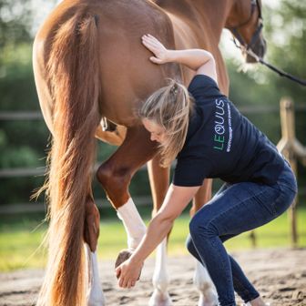 LEQUUS sportmassage voor paarden